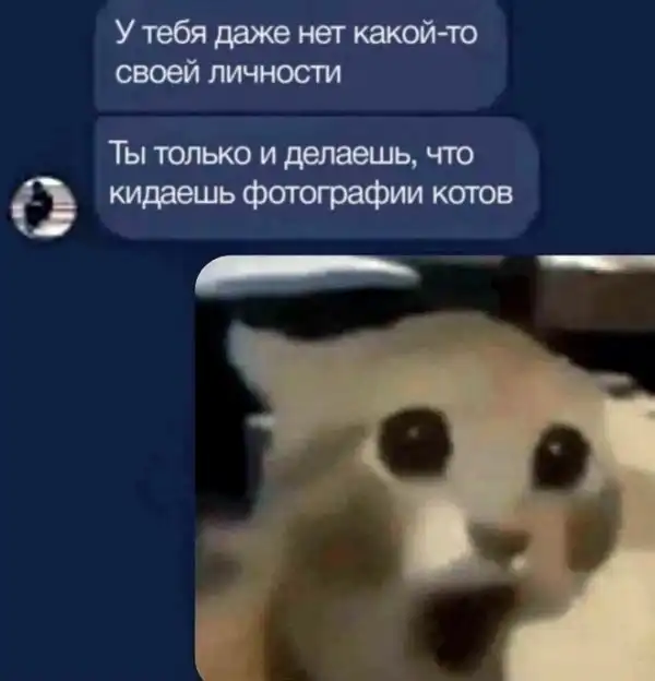 Скрины из соцсетей
