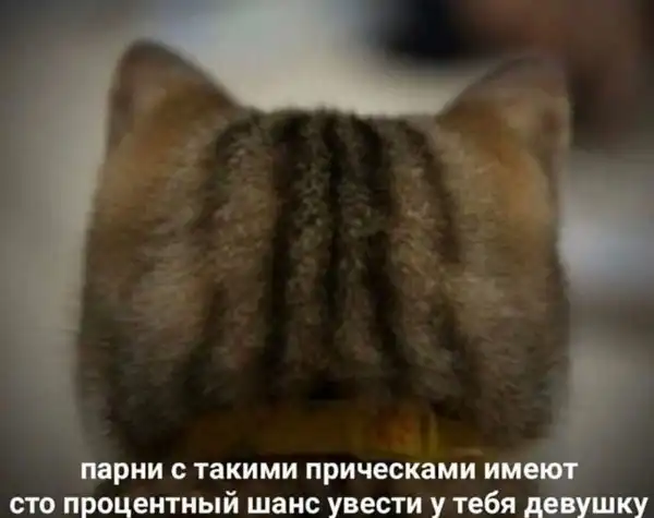 Нестандартный юмор :)