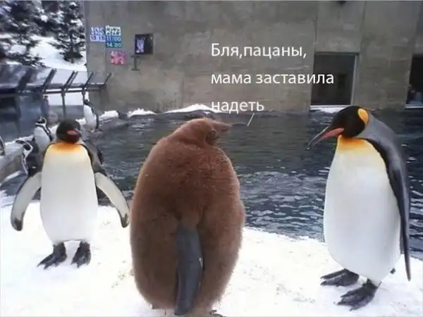 Нестандартный юмор :)