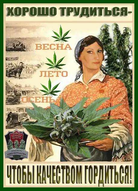 Прикольные и просто красивые картинки
