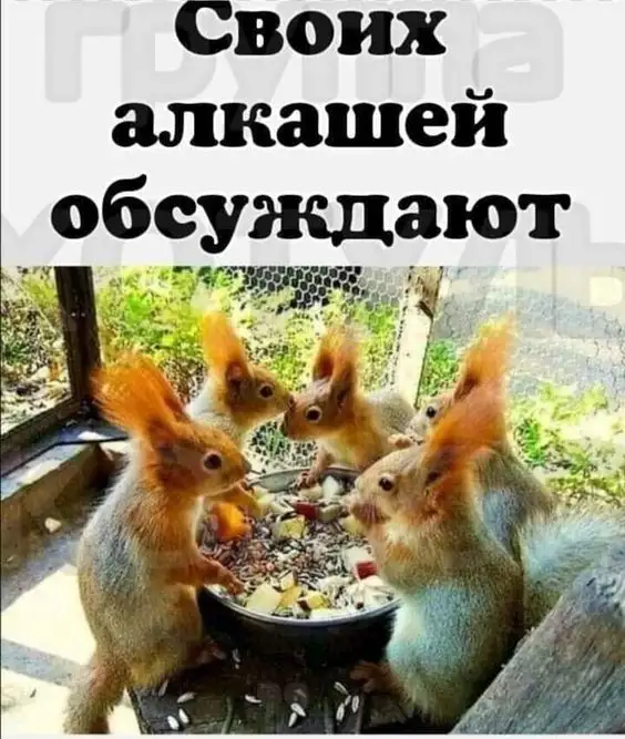 Прикольные и просто красивые картинки