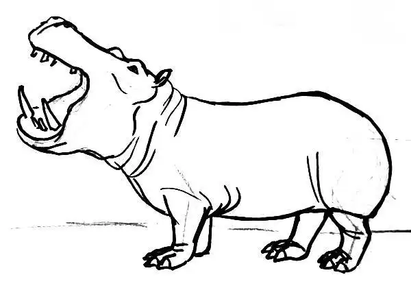 Бегемот раскраска для детей. Бегемот рисунок для детей. Гиппопотам раскраска. Бегемот карандашом. Бегемот рисунок карандашом.