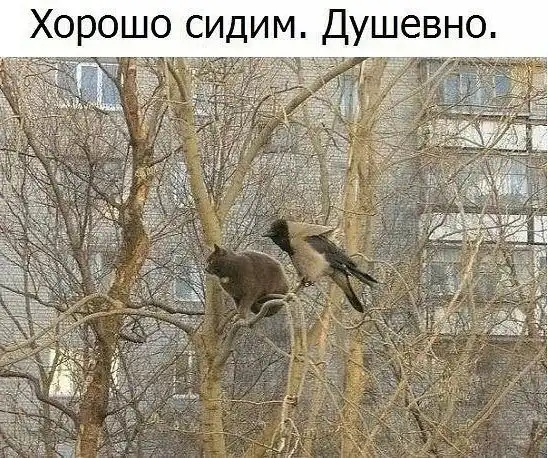 Так себе картинки