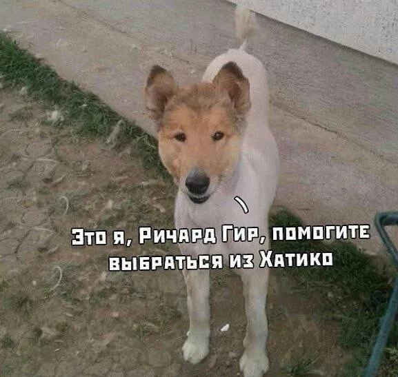 Всего понемногу Всего понемногу