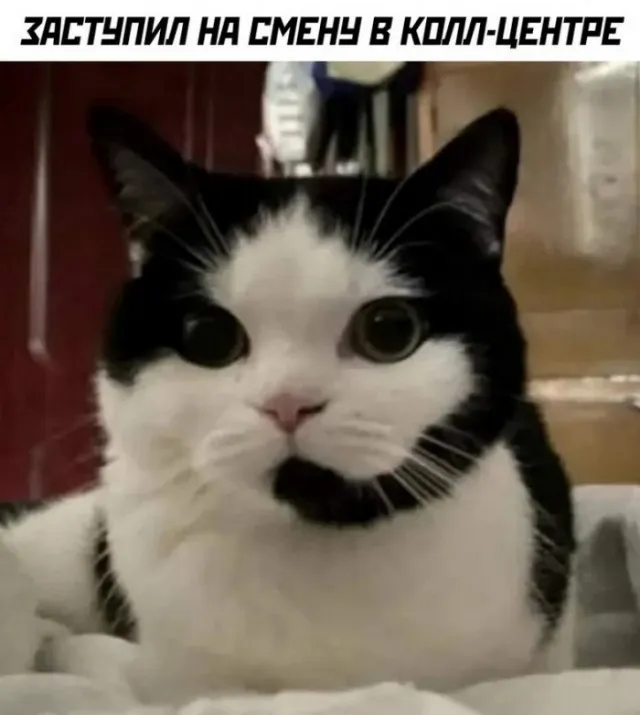 Так себе картинки