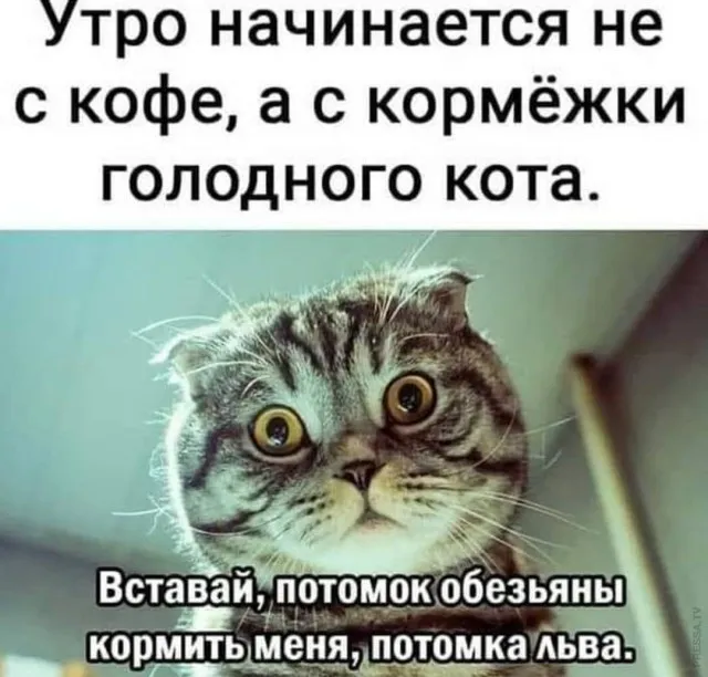 Немного картинок для настроения Немного картинок для настроения