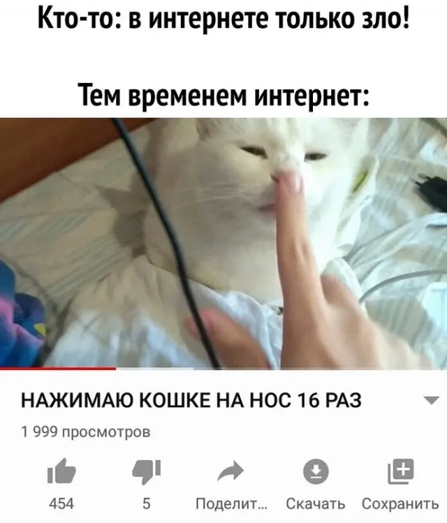 Немного картинок для настроения