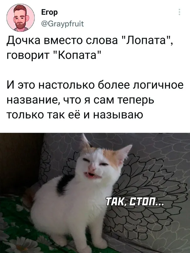 Весёлые Весёлые