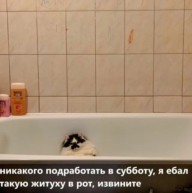 Всего понемногу Всего понемногу