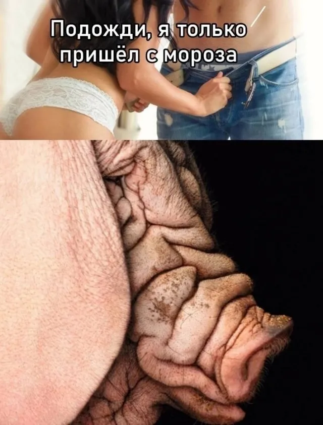Всего понемногу Всего понемногу