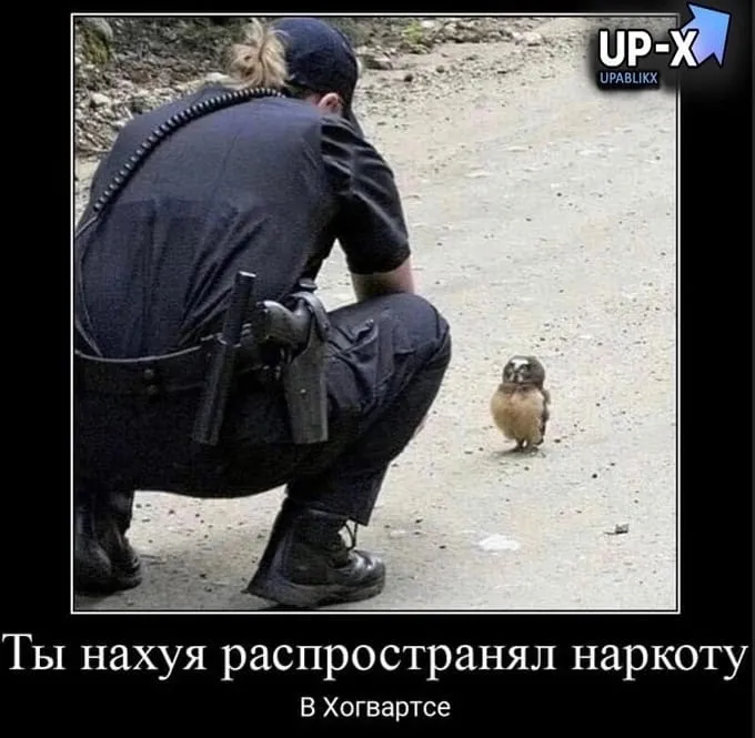 Нестандартный юмор :)
