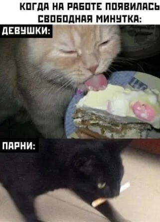 Нестандартный юмор :)