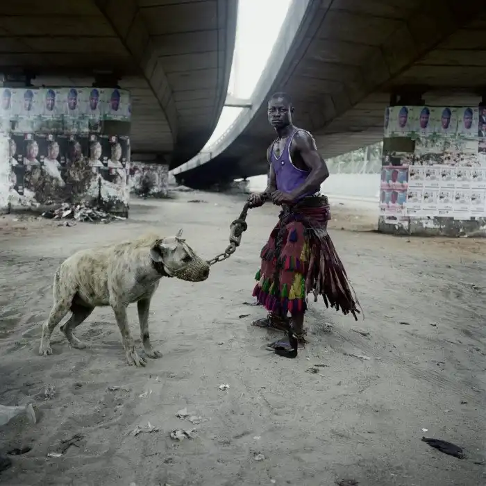 Нигерийцы, гуляющие с гиенами на поводках, возмутили публику
