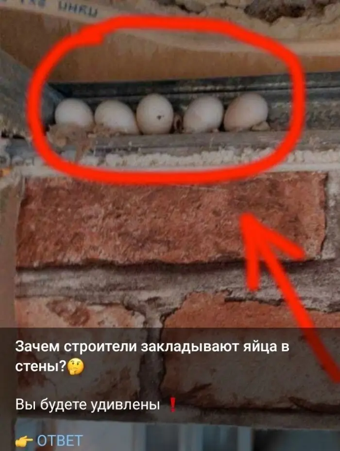 Свежие высе... примеры безумной тизерной рекламы Свежие высе... примеры безумной тизерной рекламы