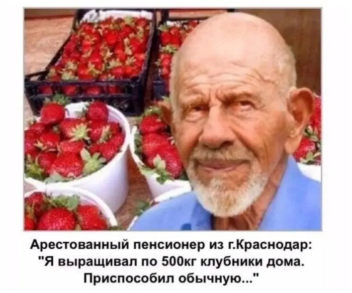Свежие высе... примеры безумной тизерной рекламы Свежие высе... примеры безумной тизерной рекламы