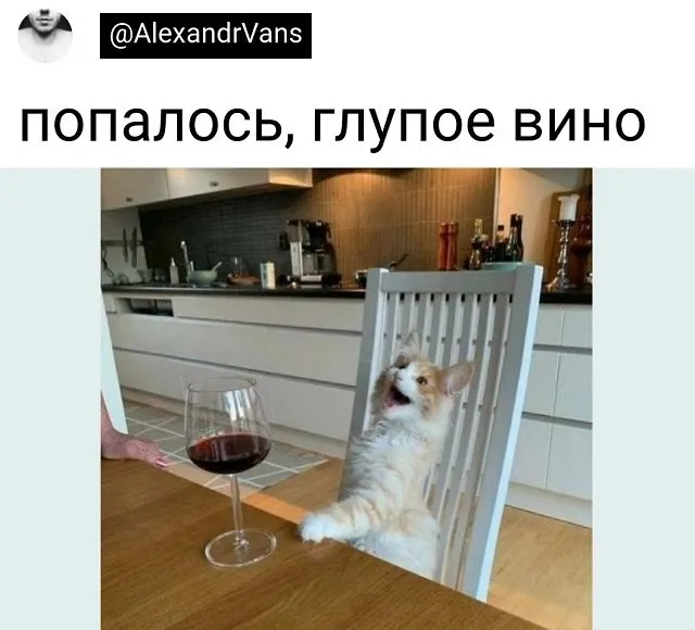 Подборка забавных твитов обо всем Подборка забавных твитов обо всем