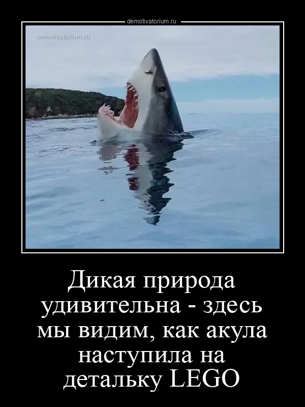 Демотиваторы Демотиваторы