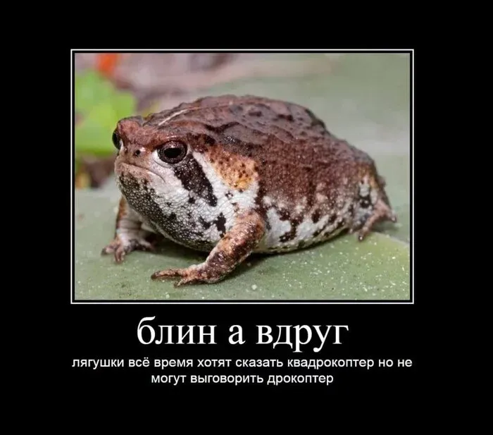 Демотиваторы Демотиваторы