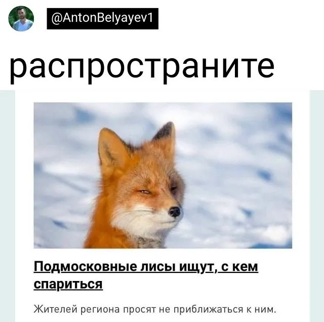 Подборка забавных твитов обо всем Подборка забавных твитов обо всем