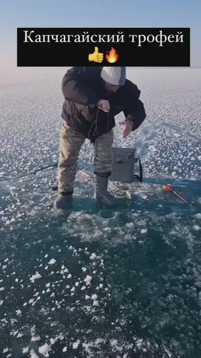 Вот это я понимаю