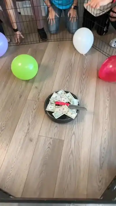 Интересная игра с роботом пылесосом