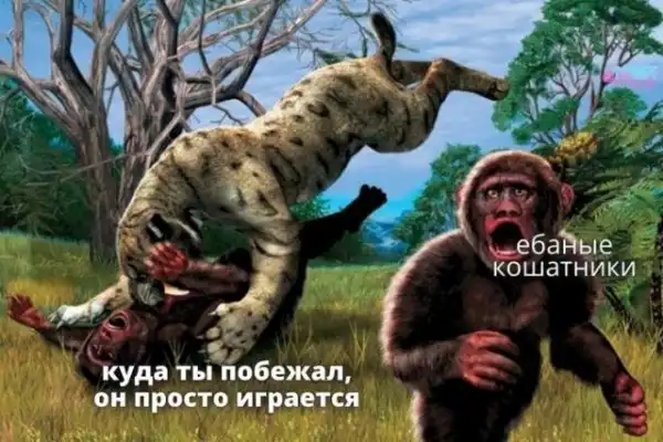 Так себе картинки