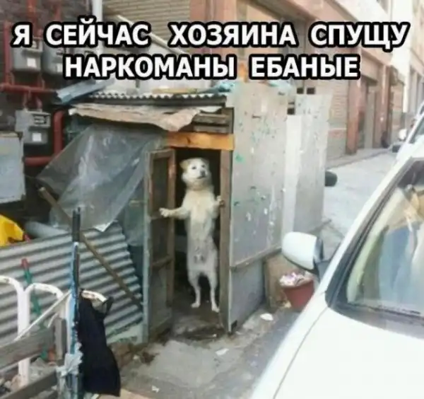 Так себе картинки