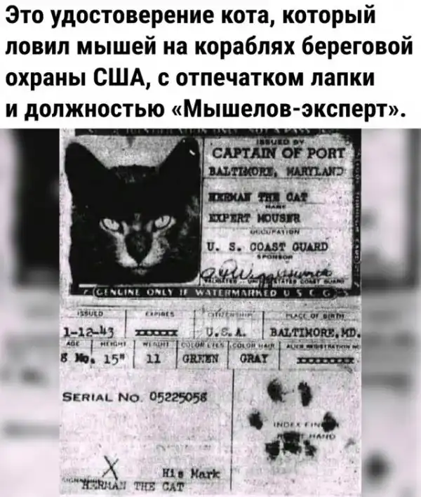 Так себе картинки