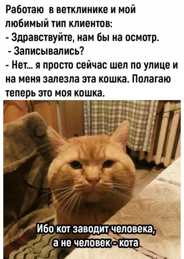 Так себе картинки