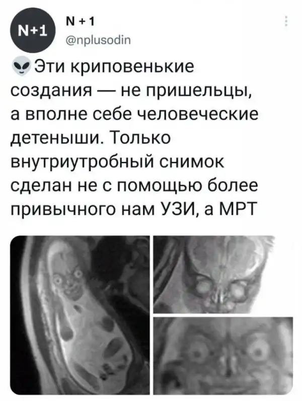 Дичь