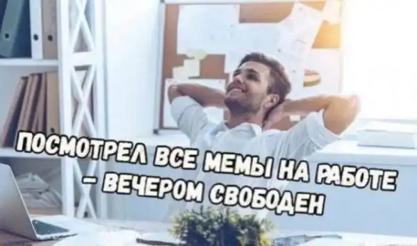 Дичь