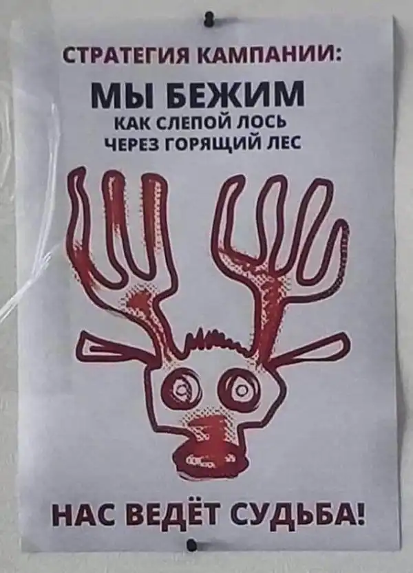 Околоайтишные мемчики