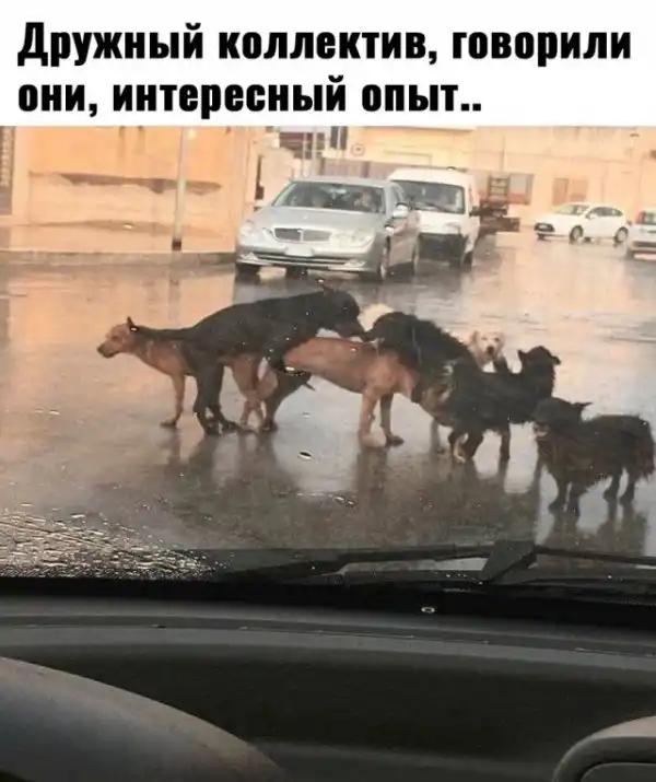 Так себе картинки