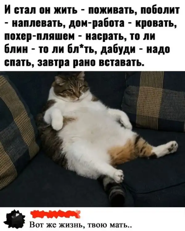 Так себе картинки
