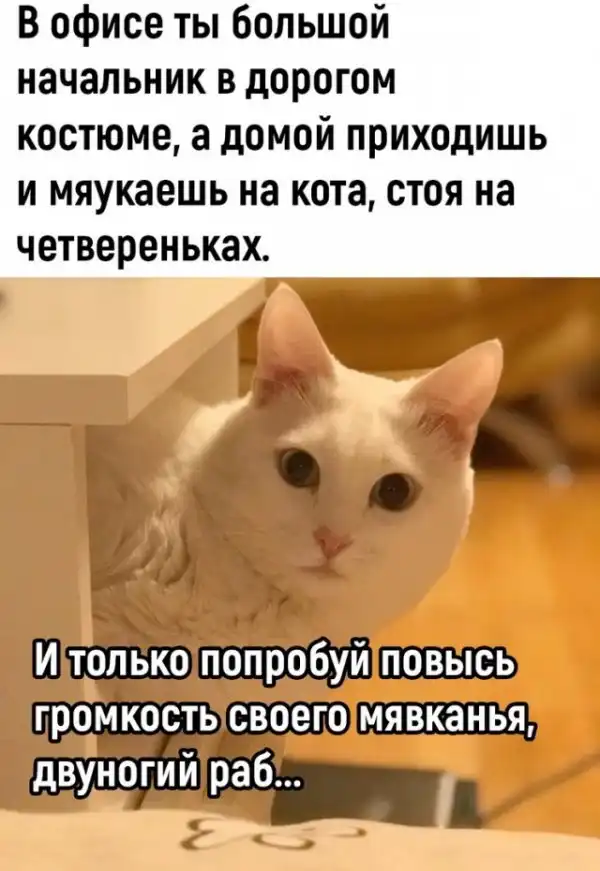 Так себе картинки