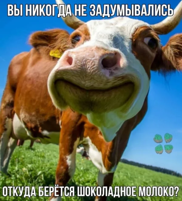 Немного картинок для настроения