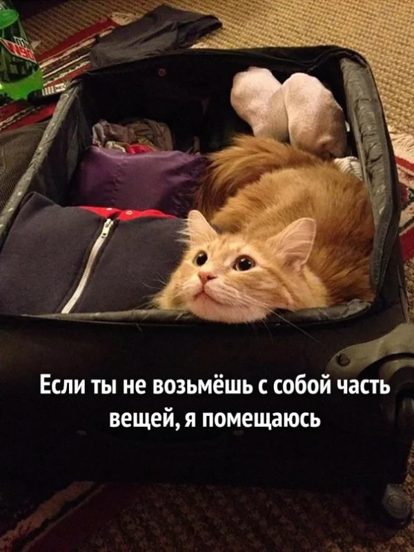 Немного картинок для настроения