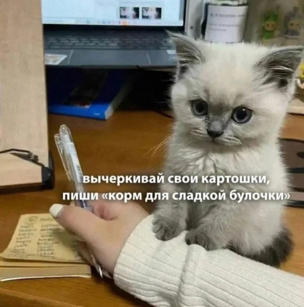 Так себе картинки