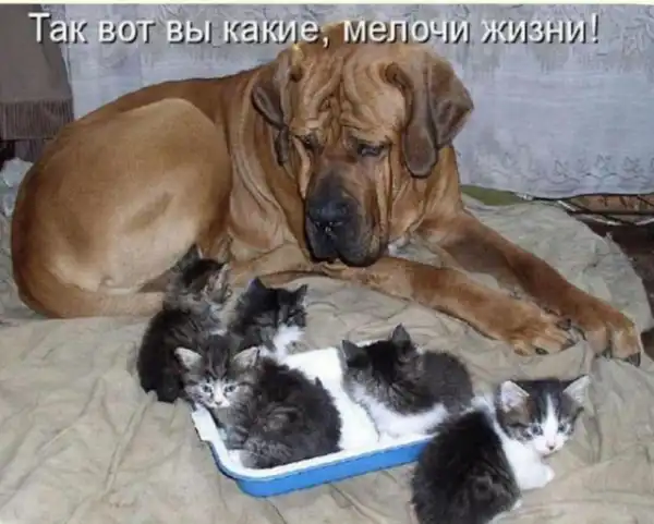 Так себе картинки (09/03/2023)