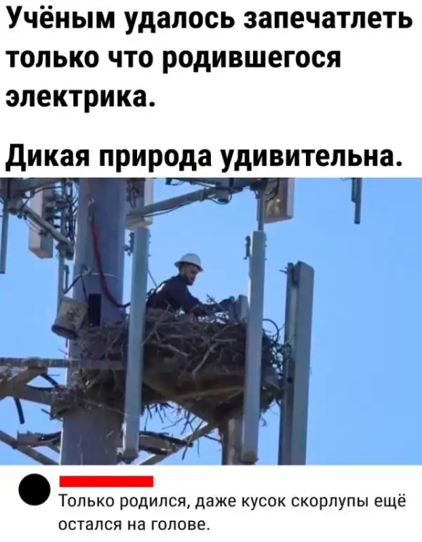 Так себе картинки (09/03/2023)