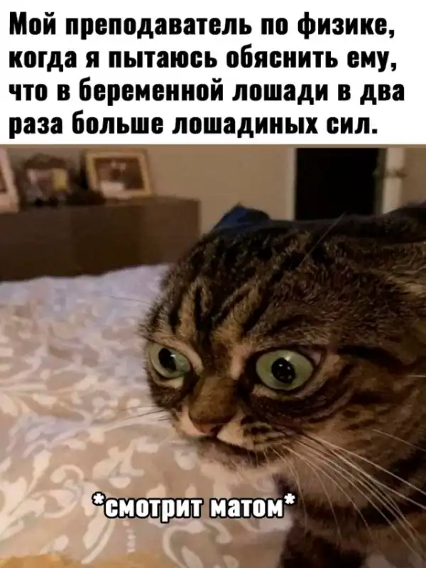 Так себе картинки (09/03/2023)