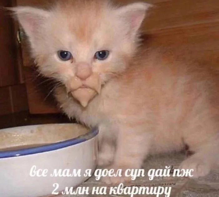 Нестандартный юмор :)