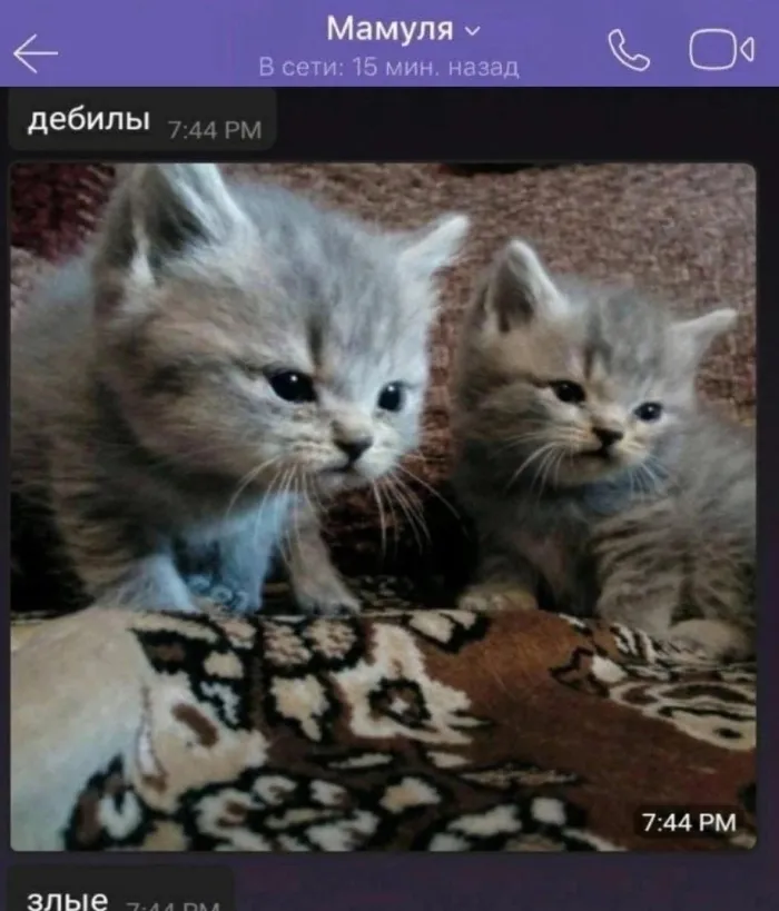 Нестандартный юмор :)