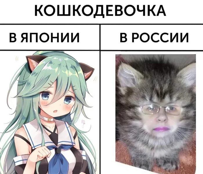 Нестандартный юмор :)