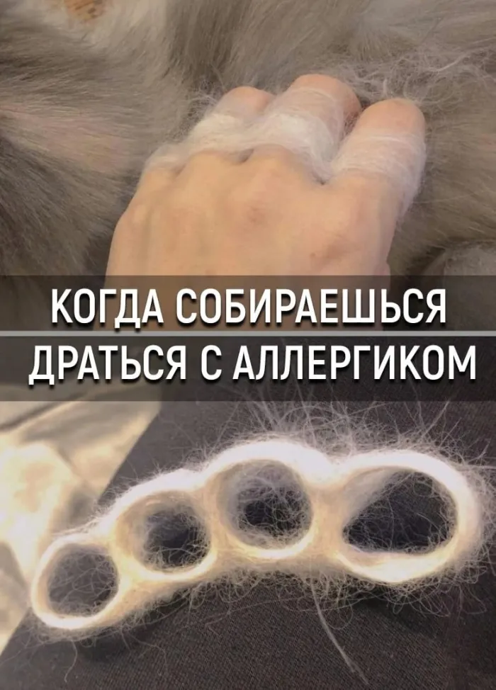 Нестандартный юмор :)