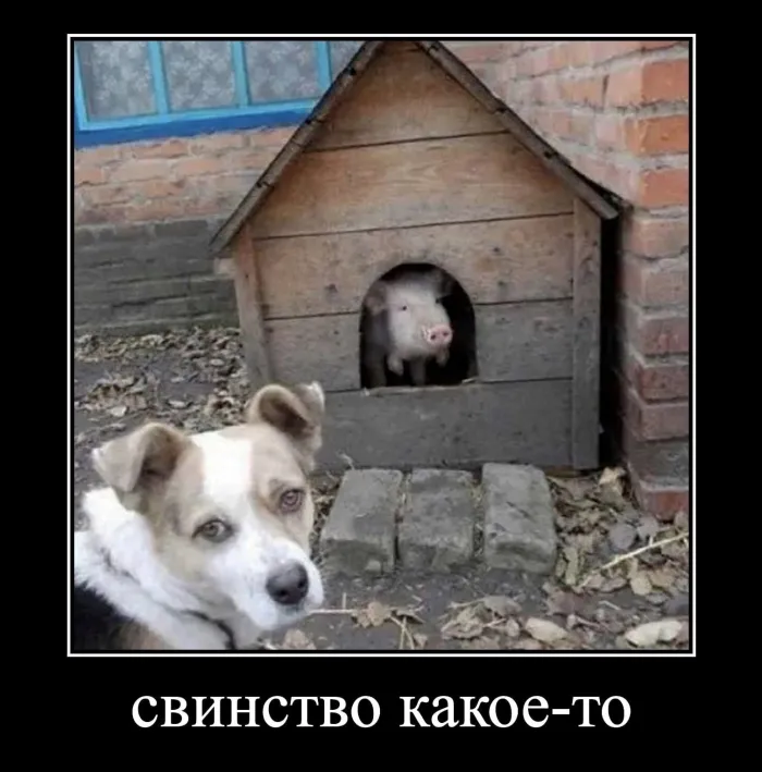 Нестандартный юмор :)