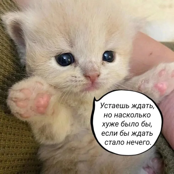 Нестандартный юмор :)