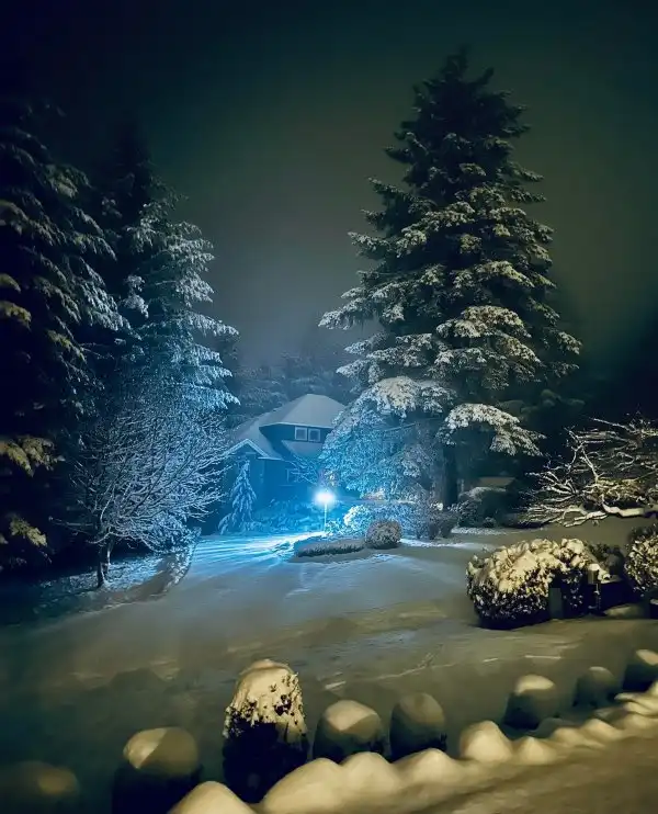 Фотоподборка