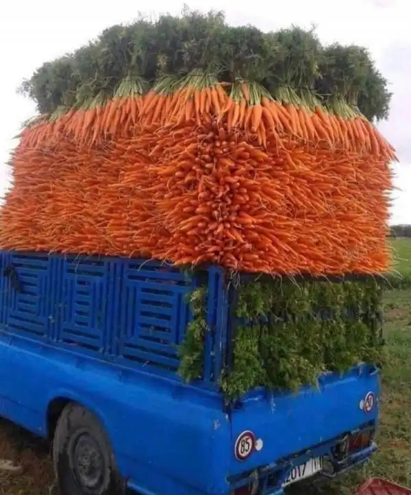 Фотоподборка