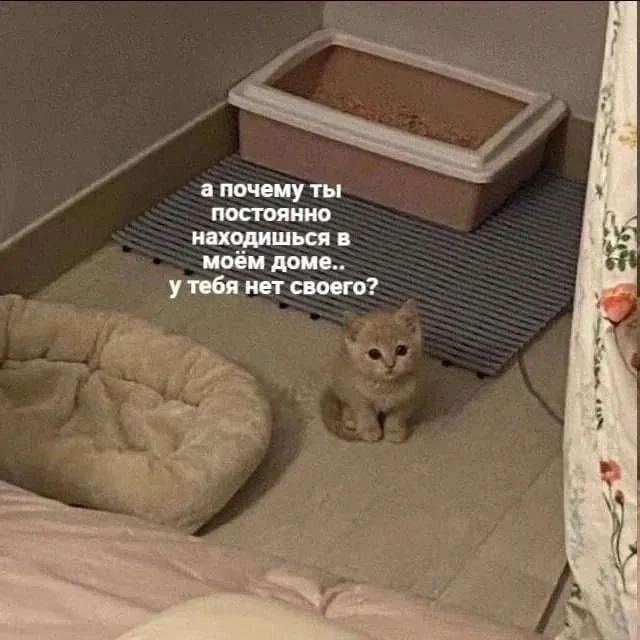 Нестандартный юмор (14/03/2023)